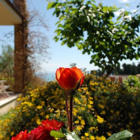 Bed & Breakfast Latteletto Tortoreto Екстер'єр фото