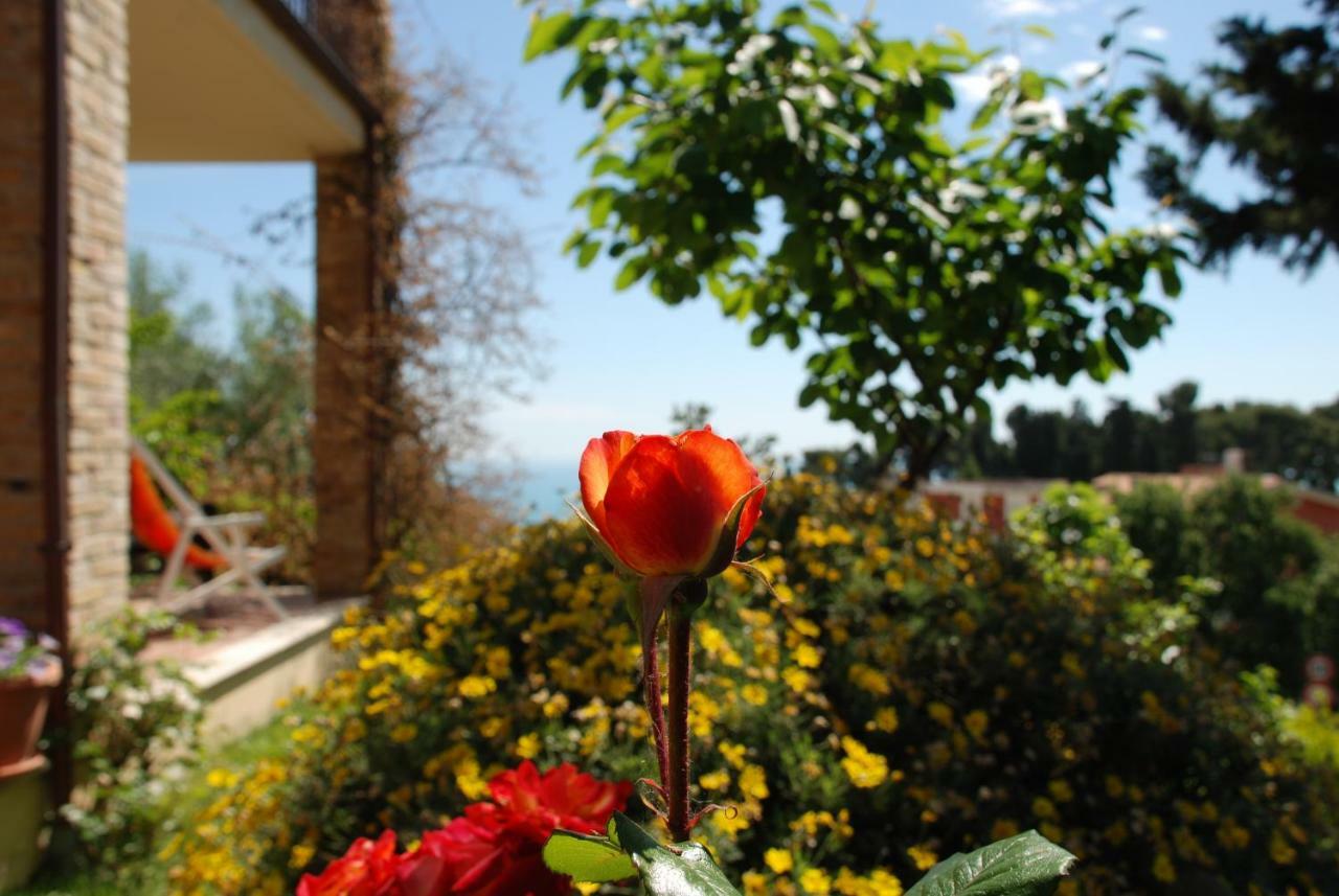 Bed & Breakfast Latteletto Tortoreto Екстер'єр фото